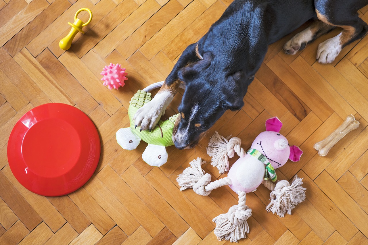 Top Enrichment Toys for Dogs: Boosting Mental Stimulation